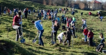 Stire din Social : Zeci de hectare de terenuri, împădurite de voluntari