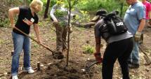 Stire din Social : Luna Pădurii la Constanța. Plantări de puieți în pădurea Fântânița de la Murfatlar