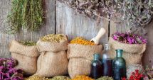 Stire din Sănătate : Reechilibraţi-vă organismul cu ajutorul plantelor medicinale!
