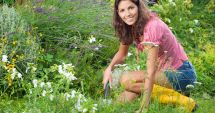Stire din Sănătate : Plante care vă ajută să păstrați cât mai mult frumusețea și tinerețea tenului
