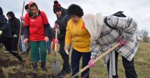 Stire din Politică-Administrație : Primăria Cumpăna vă invită la o nouă ediție a evenimentului “Plantează în România, plantează în comuna Cumpăna!”
