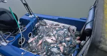 Stire din Eveniment : Peste 3.400 de metri de plase și 400 kg de pește, confiscate de polițiștii de frontieră