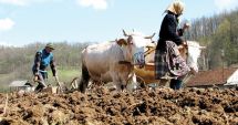 Stire din Economie : Peste 17.000 de rentieri au primit banii pe anul trecut