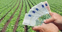 Stire din Economie : Plăți de peste 219 milioane euro pentru fermierii din sectorul vegetal