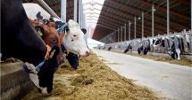 Stire din Economie : Care este stadiul plăţilor efectuate de APIA pentru Campania 2020