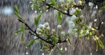 Stire din Social : PROGNOZA METEO pe două săptămâni: Cum va fi vremea de Florii și Paște