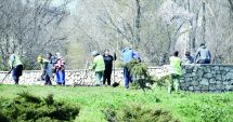 Stire din Politică-Administrație : PNL Constanța: Constănțenii vor un oraș verde