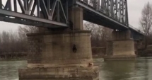 Stire din Eveniment : VIDEO. GEST EMOȚIONANT al pompierilor. Au salvat un câine de la pieire