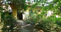 Stire din Social : Buruieni cât casa în loc de cabinete medicale. "Jungla" din curtea Spitalului Municipal