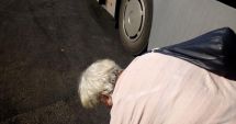 Stire din Social : Poliția Locală în acțiune. Constănțenii indisciplinați, puși să-și strângă gunoaiele de pe jos
