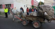 Stire din Eveniment : Continuă imobilizarea căruțelor, la Constanța. "Echipajele noastre vor interveni de urgență"