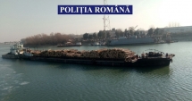 Stire din Eveniment : Polițiștii din Constanța au confiscat o navă șlep plină cu lemne