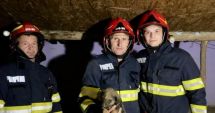 Stire din Eveniment : Pompierii au salvat un căţel căzut într-un canal de aproape 4 metri adâncime