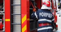 Stire din Eveniment : Cinci câini au murit după ce un aragaz a explodat. Stăpânii patrupedelor nu erau acasă
