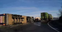Stire din Eveniment : Camion încărcat cu aproximativ 200 de porci vii, răsturnat. Intervenție de urgență a pompierilor