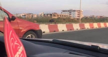 Stire din Eveniment : Porci mistreți în stațiunea Mamaia! Unul din exemplare ar fi ajuns în mare
