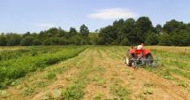 Stire din Economie : Potop de oferte pe piața terenurilor agricole din județul Constanța