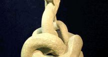 Stire din Cultură-Educație : GALERIE FOTO / Povestea Șarpelui Glykon, statuie unică în lume