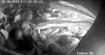 Stire din Eveniment : VIDEO ȘOCANT! Tragedie COLECTIV / Noi filmări și detalii din dosar, date publicității