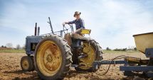 Stire din Economie : Prea puţini tineri au primit pământuri de la stat