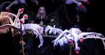 Stire din Cultură-Educație : Premieră la Teatrul "Căluțul de mare". "Lebedele" lui Andersen vin să încânte constănțenii