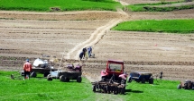 Stire din Economie : Prețul mediu al terenurilor agricole din județul Constanța a ajuns la 17.860 lei pe hectar