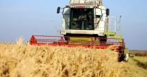 Stire din Economie : Prețurile terenurilor agricole  din județul Constanța sunt în creștere