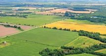 Stire din Economie : Previziuni pentru anul agricol 2021