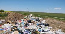 Stire din Social : Primăria Cogealac, sancționată din nou de comisarii Gărzii Naționale de Mediu