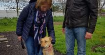 Stire din Politică-Administrație : Primăria Constanța continuă campania de adopție a câinilor fără stăpâni