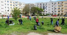 Stire din Politică-Administrație : Primăria Constanța a finalizat campania  "Curățăm Constanța noastră". Care este rezultatul