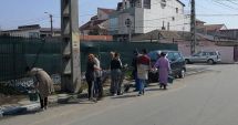 Stire din Politică-Administrație : Primăria Constanța a scos la muncă romii din cartierul Anadalchioi