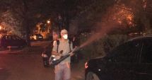 Stire din Politică-Administrație : Primăria Constanța continuă dezinsecția în cartiere