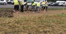 Stire din Politică-Administrație : Primăria Constanța, acțiuni de întreținere a spațiilor verzi în mai multe cartiere
