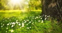 Stire din Social : Vreme caldă, dar cu episoade de instabilitate atmosferică
