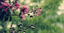 Stire din Social : PROGNOZA METEO / Cum va fi vremea în următoarele zile