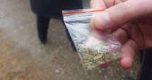 Stire din Eveniment : Prinși cu zeci de pliculețe  cu etnobotanice în Piața Ovidiu