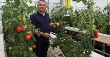 Stire din Economie : Procedurile de accesare a ajutoarelor destinate legumicultorilor se simplifică