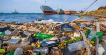 Stire din Economie : Procurorii UE și SUA cooperează în lupta împotriva criminalității ecologice