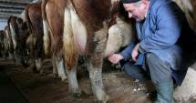 Stire din Economie : Producătorii de lapte pot solicita ajutorul excepțional