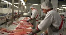Stire din Economie : Iată cum a evoluat producția de carne