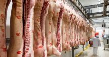 Stire din Economie : Producția de carne crește doar la ovine și caprine
