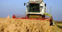 Stire din Economie : Producția de cereale a crescut cu 3,4% în 2014