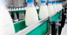 Stire din Economie : Producția de lapte e în ușoară creștere, iar importul s-a redus