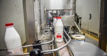 Stire din Economie : Producția de lapte s-a redus, iar importul a crescut