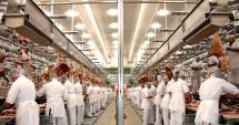 Stire din Economie : Economia, pe scurt