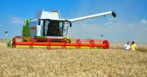 Stire din Economie : Producție record de grâu! Constanța, printre județele fruntașe