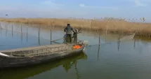 Stire din Actualitate : Atenție, pescari! Când începe prohibiția la știucă