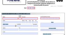 Stire din Economie : Proiect de OUG pentru prelungirea termenului  de depunere  a declarației 600