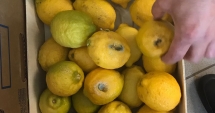 Stire din Social : Amendă de 22.000 lei  și magazin alimentar închis  de Protecția Consumatorilor